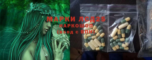 гашик Шали