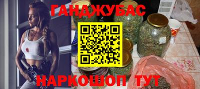 гидра Моздок